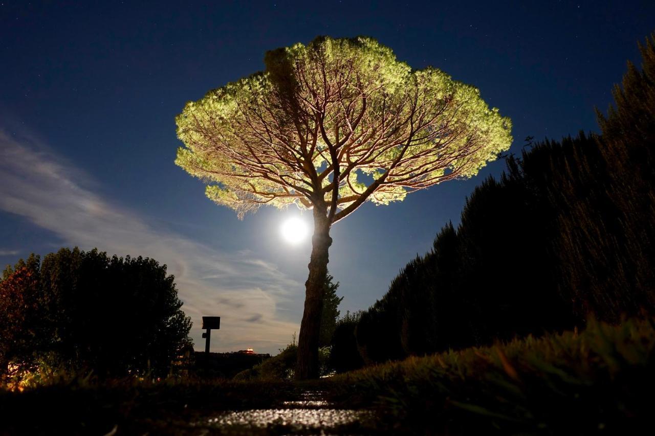 Agriturismo Buon Riposo - Country Resort In The Heart Of Tuscany San Giovanni a Corazzano Bagian luar foto