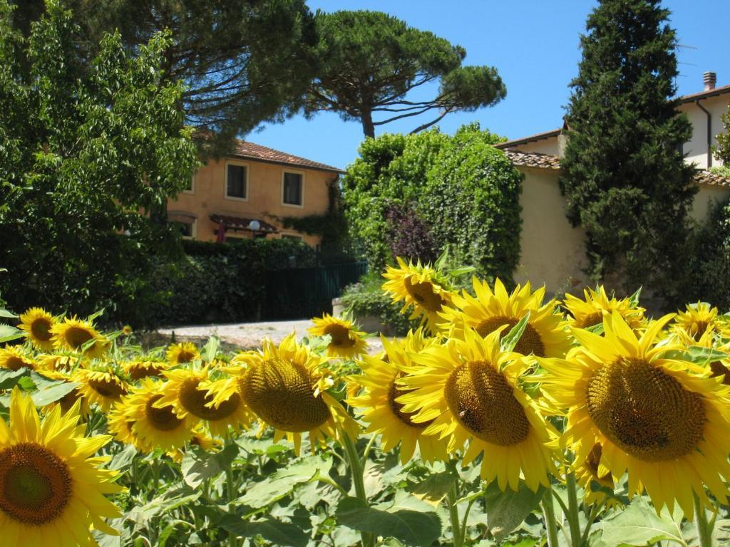 Agriturismo Buon Riposo - Country Resort In The Heart Of Tuscany San Giovanni a Corazzano Bagian luar foto