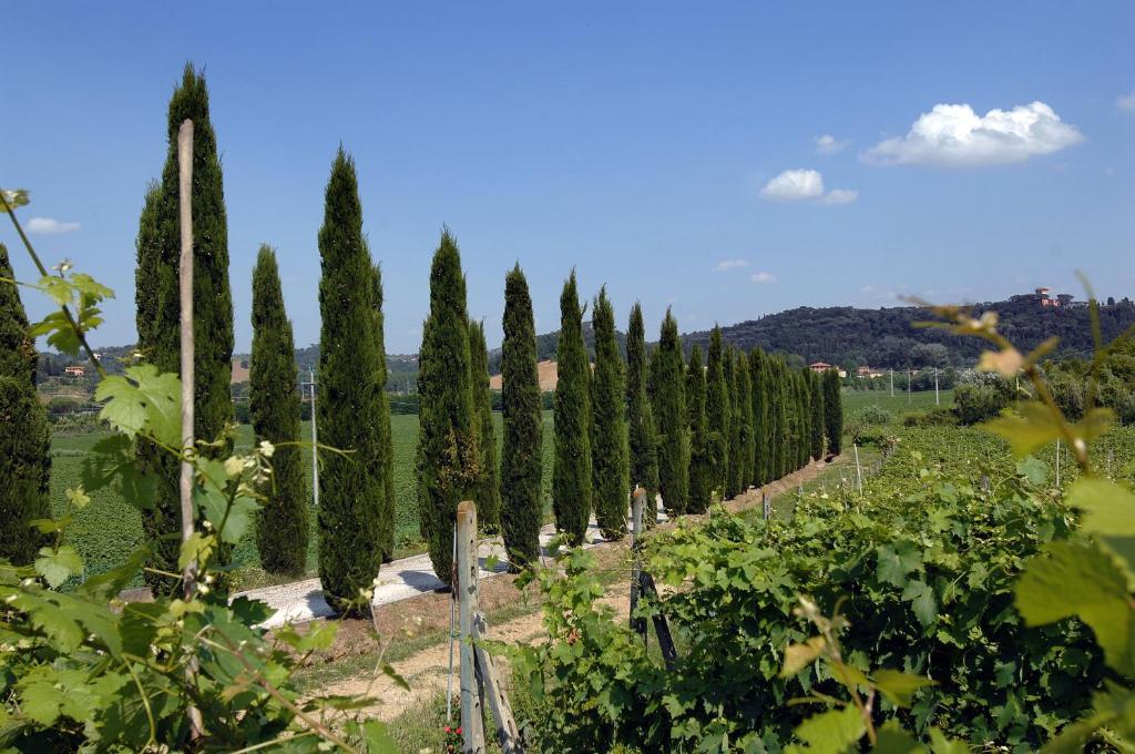 Agriturismo Buon Riposo - Country Resort In The Heart Of Tuscany San Giovanni a Corazzano Bagian luar foto